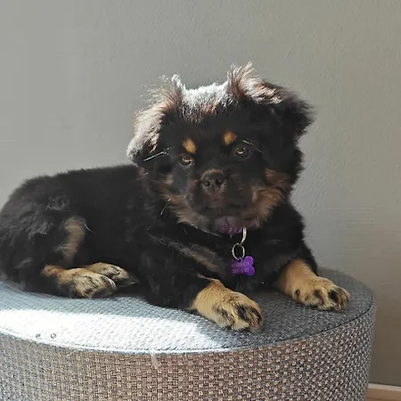 Apartman Skovby Ved *